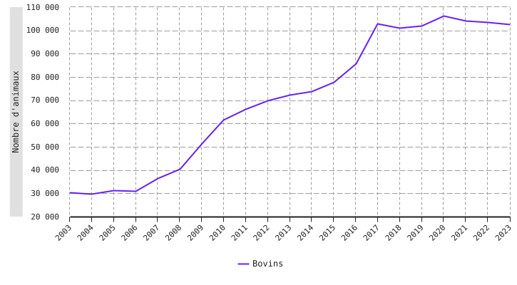 Principaux cheptels bio en Wallonie : bovins